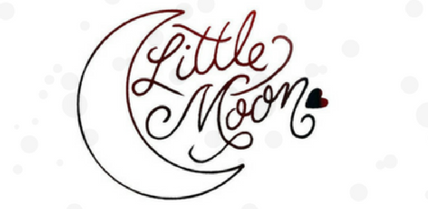 Little Moon Massage and Wellness logo