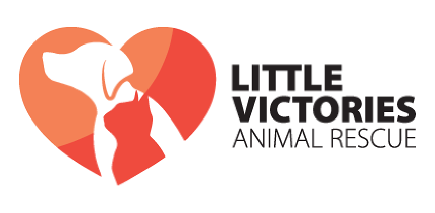 Little Victories logo