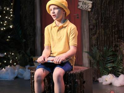 Winnie the Pooh Christmas 1